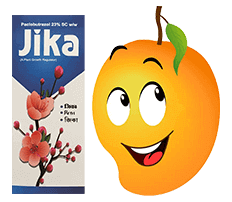 sumitomo jika mango cartoon